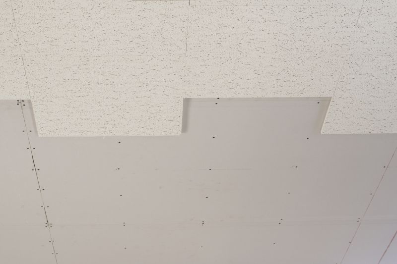 Acoustic Ceiling Insulation