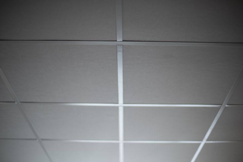 Acoustic Ceiling Insulation