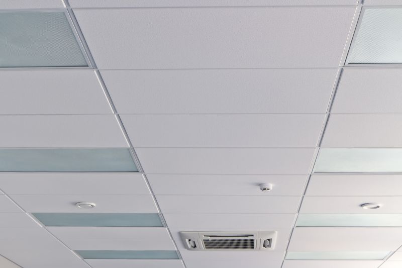Acoustic Ceiling Insulation